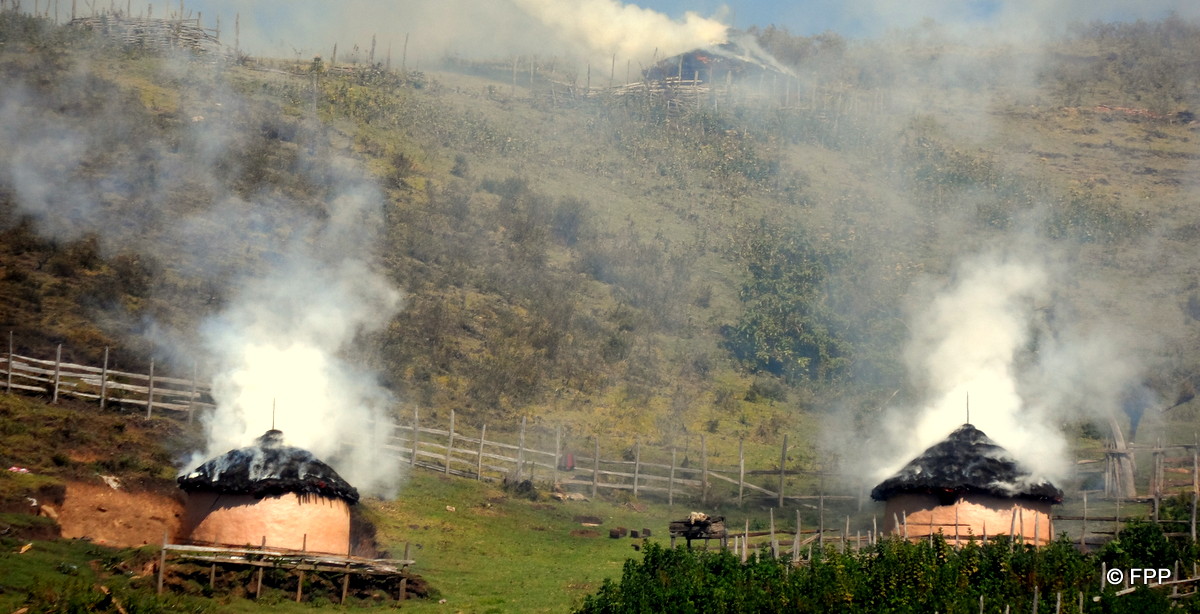 3burninghouses