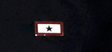 The Blue Star pin features a blue star on a field of white with a red border, as seen on Kaine’s lapel.
