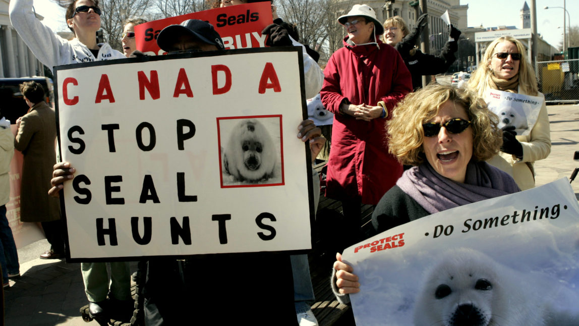 Animal rights activists protest against the start of a new seal hunting season in front of the Canadian embassy Tuesday, March 15, 2005 in Washington. (AP Photo/Charles Dharapak)