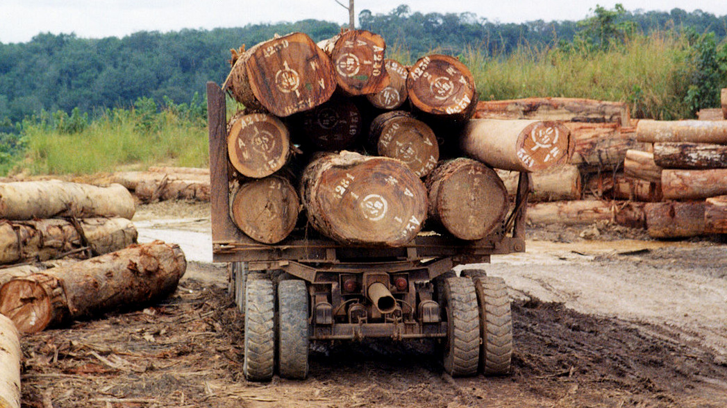 A logging truck departs a forest-logging camp in the Central African Republic. (Photo: JG Collomb/World Resources Institute)