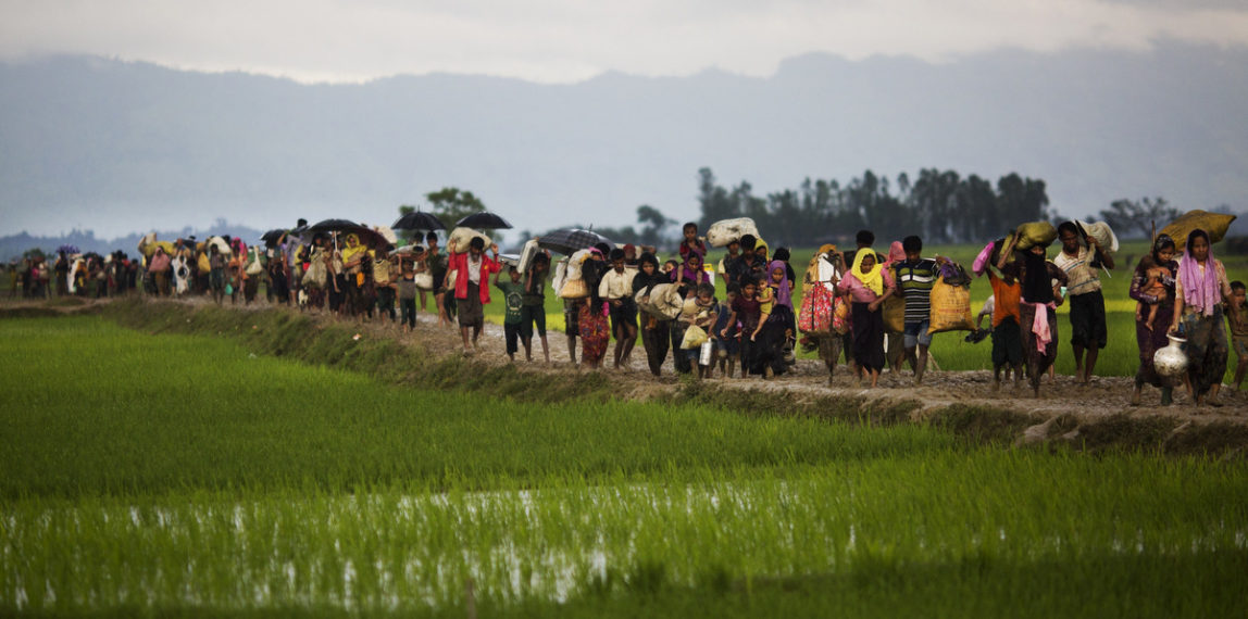 Myanmar's Rohingya ethnic minority members flee their homes through rice fields after crossing over to the Bangladesh side of the border near Cox's Bazar's Teknaf area, Sept. 1, 2017. (AP/Bernat Armangue)