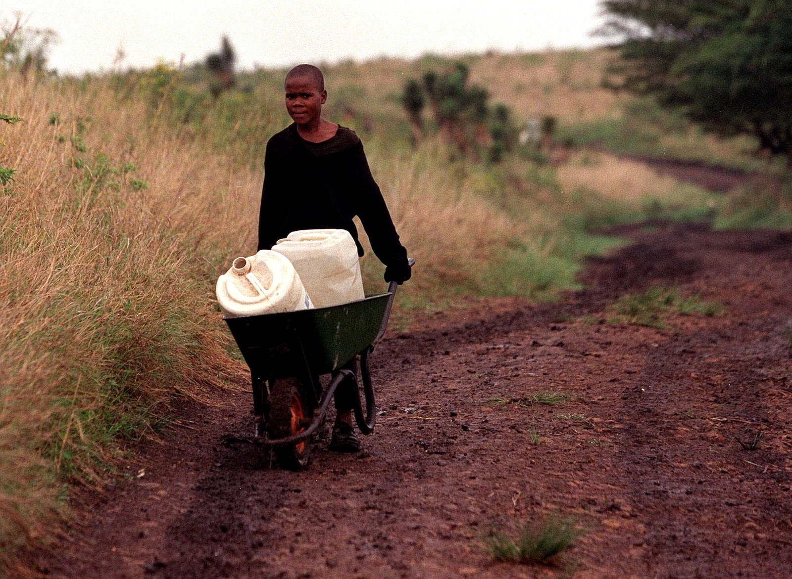 Phakamani Mpanza,14, delivers water to his home from a roadside borehole about 3 kilometres (1.8 miles) away near Empangeni (about 160 kilometres (99 miles) north of Durban, Oct. 27 2000. (AP/ Cobus Bodenstein)