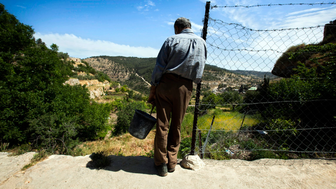 The “Seam Zone”: Israeli Officials Are Barring Thousands of Palestinian Farmers from Their Land