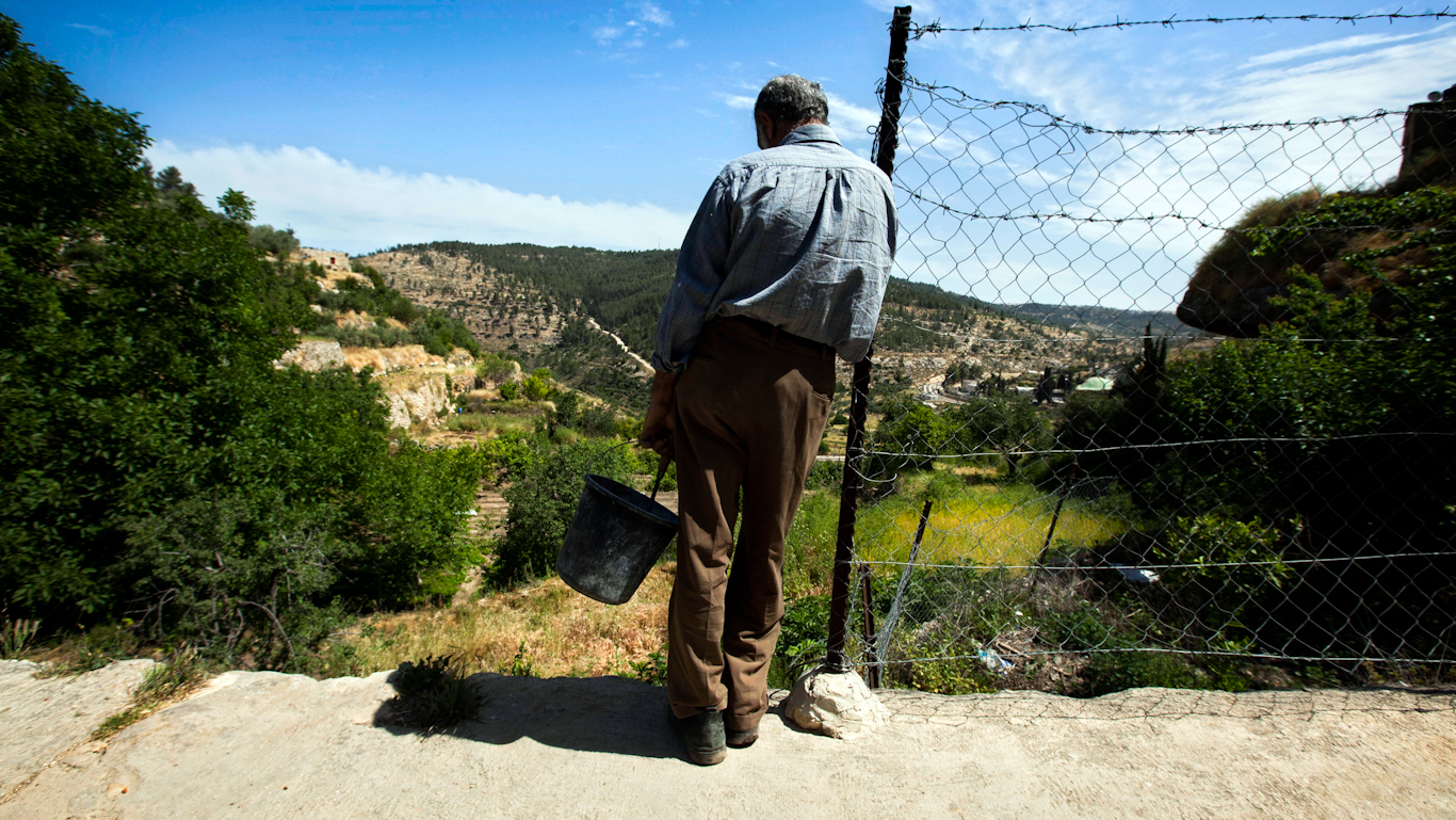 Palestinian farmer Feature photo