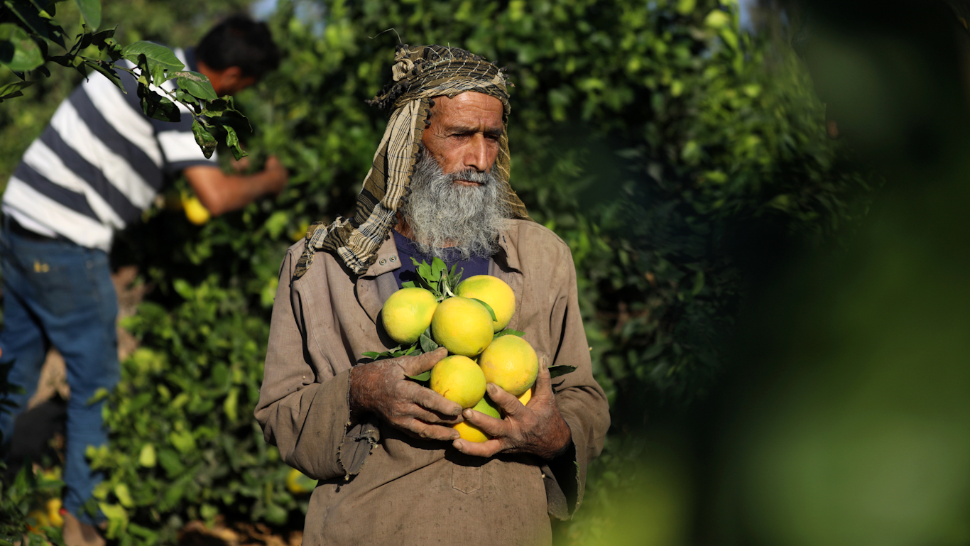 Palestinian native american Feature photo