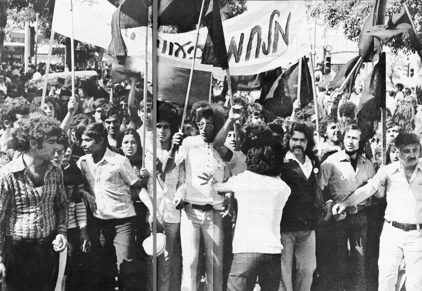  Israeli black panthers 