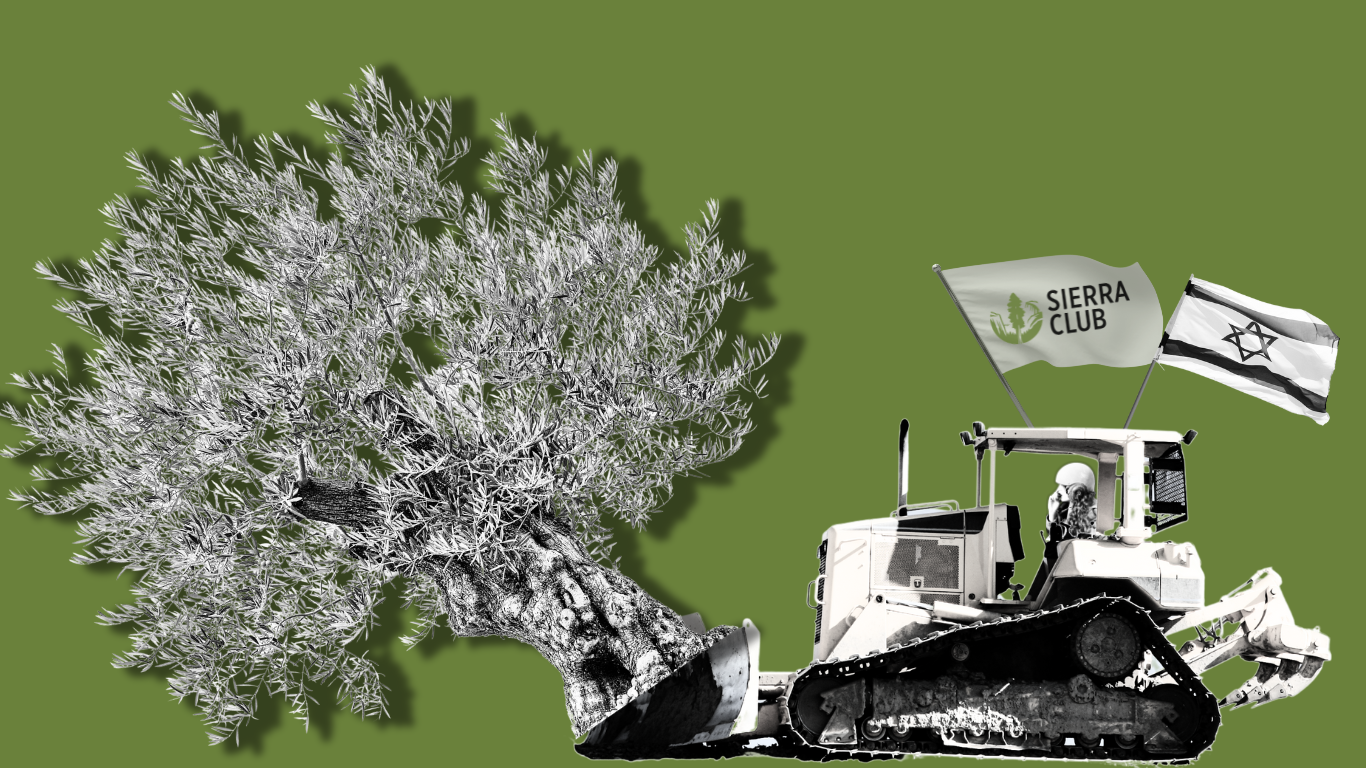 Israel Sierra Club Feature photo